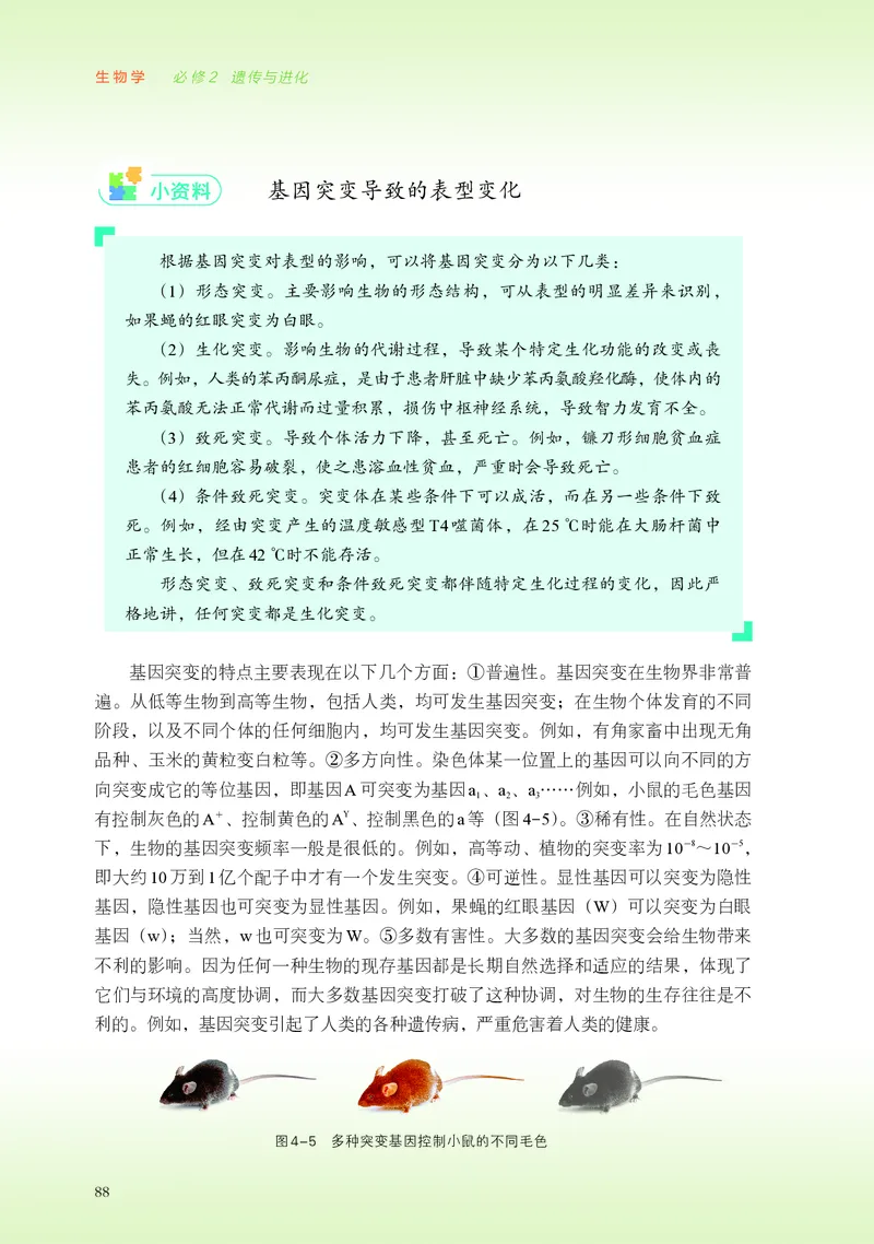浙科版生物必修2高清教材_4-教培资料-26年最新资料-同步更新_初中高中教资_03科三专项（进去保存报考的学科即可）_02科三专项（笔记真题思维导图教学设计版本二）