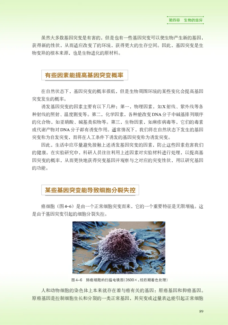 浙科版生物必修2高清教材_4-教培资料-26年最新资料-同步更新_初中高中教资_03科三专项（进去保存报考的学科即可）_02科三专项（笔记真题思维导图教学设计版本二）
