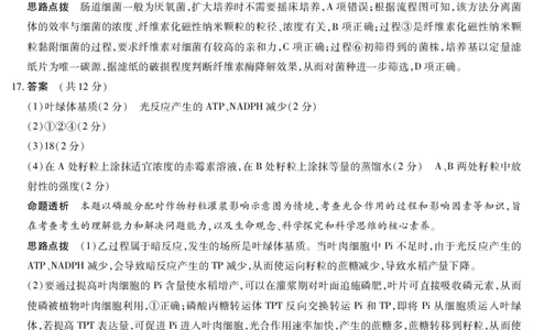 湖南省天一大联考2025届高三5月最后一卷-生物学高三最后一卷详细答案_2025年6月_250603湖南省天一大联考2025届高三5月最后一卷（全科）_湖南省天一大联考2025届高三5月最后一卷-生物