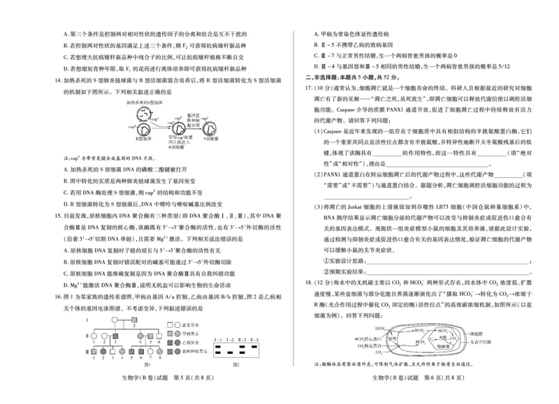 天一大联考&middot;2025-2026学年（上）高三年级天一小高考（二）生物(B卷)_251113天一大联考&middot;河南省、陕西省2025-2026学年（上）高三年级天一小高考（二）（全科）