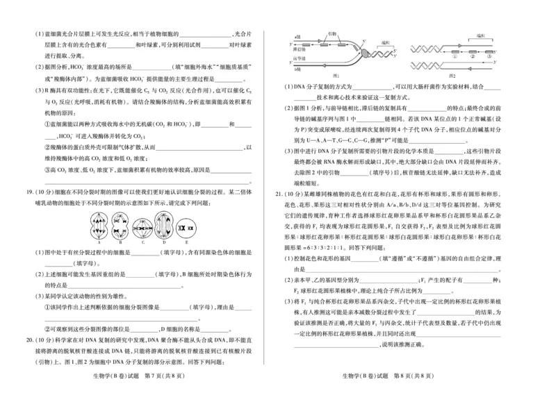 天一大联考&middot;2025-2026学年（上）高三年级天一小高考（二）生物(B卷)_251113天一大联考&middot;河南省、陕西省2025-2026学年（上）高三年级天一小高考（二）（全科）