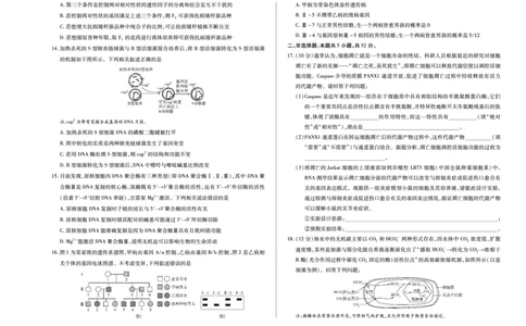 天一大联考&middot;2025-2026学年（上）高三年级天一小高考（二）生物(B卷)_251113天一大联考&middot;河南省、陕西省2025-2026学年（上）高三年级天一小高考（二）（全科）