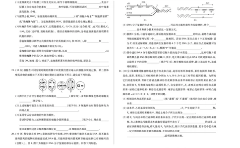 天一大联考&middot;2025-2026学年（上）高三年级天一小高考（二）生物(B卷)_251113天一大联考&middot;河南省、陕西省2025-2026学年（上）高三年级天一小高考（二）（全科）