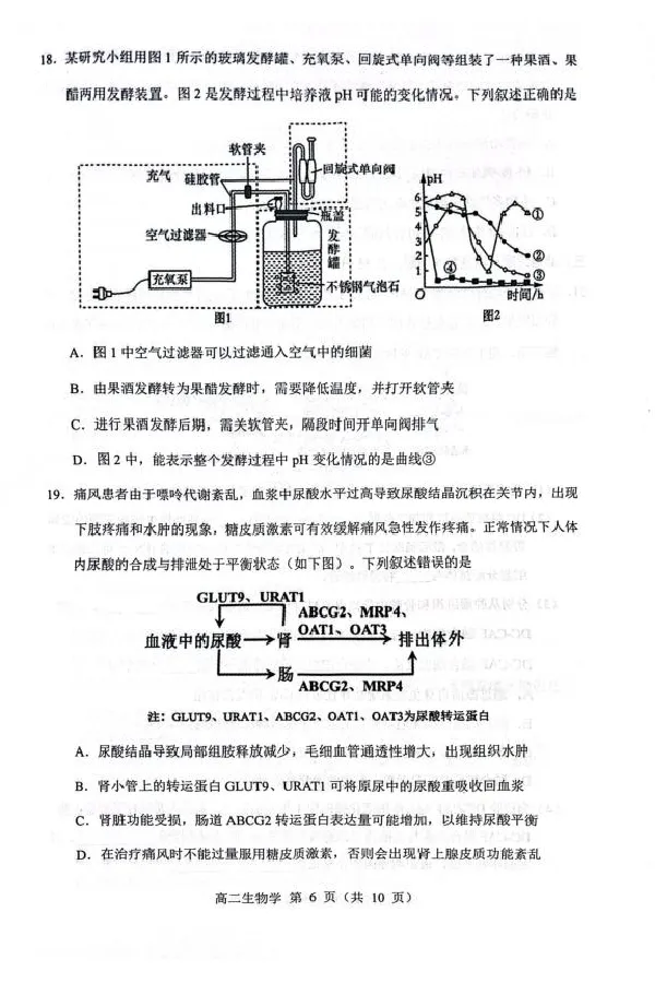 内蒙古赤峰市2024-2025学年高二下学期期末联考生物试卷（图片版，有答案）_2025年7月_250720内蒙古赤峰市2024-2025学年高二下学期期末联考