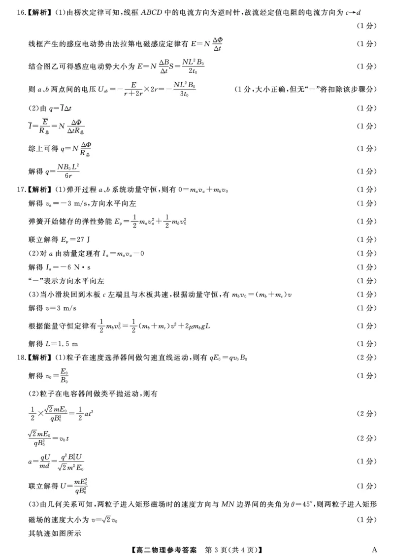 25029B-物理DA-A_2025年7月_250715福建省百校2024-2025学年高二下学期期末联考（全科）_答案