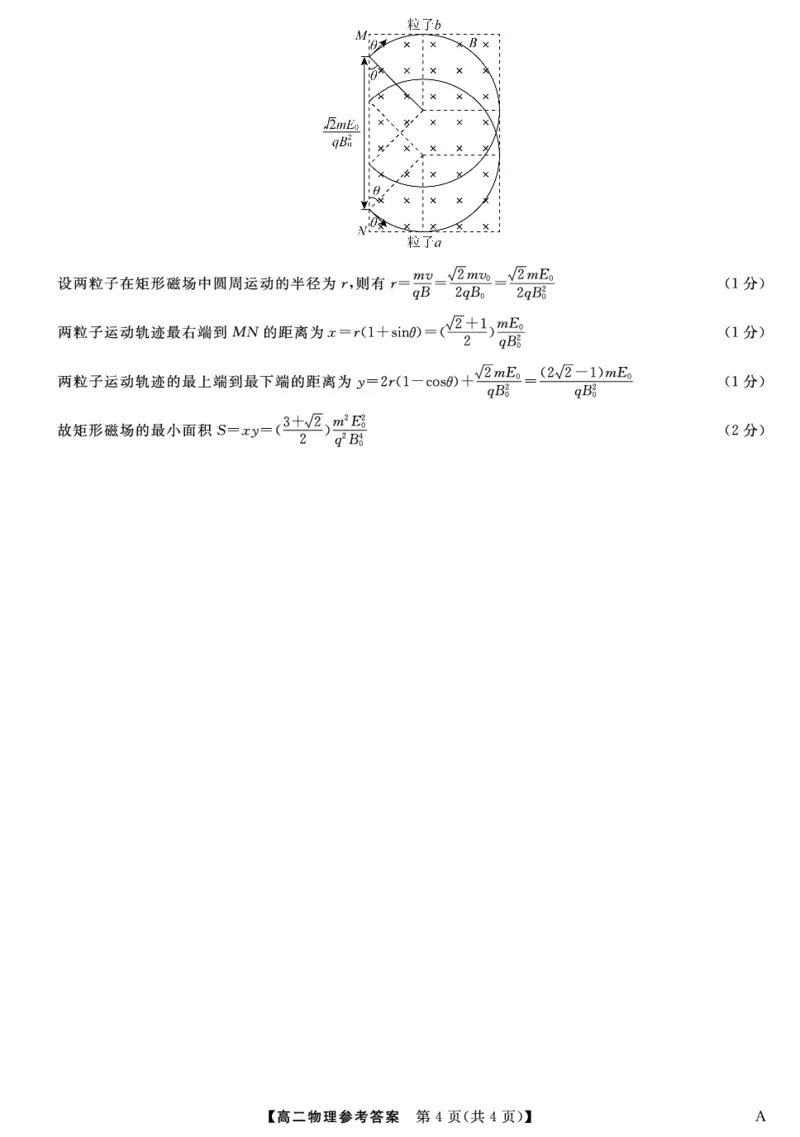 25029B-物理DA-A_2025年7月_250715福建省百校2024-2025学年高二下学期期末联考（全科）_答案