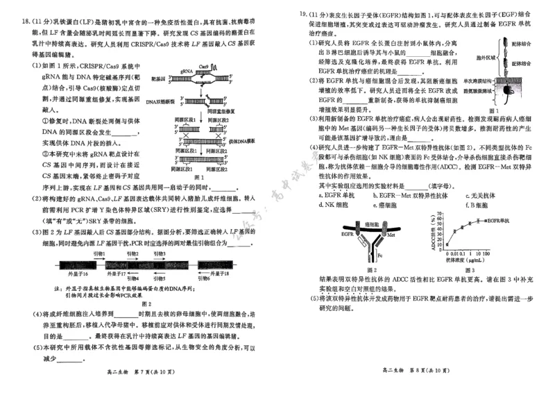 北京市东城区2024-2025学年度高二第二学期期末统一检测生物学试卷（含答案）_2025年7月_250728北京市东城区2024-2025学年高二下学期期末考试（全科）