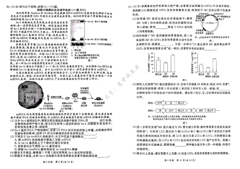 北京市东城区2024-2025学年度高二第二学期期末统一检测生物学试卷（含答案）_2025年7月_250728北京市东城区2024-2025学年高二下学期期末考试（全科）