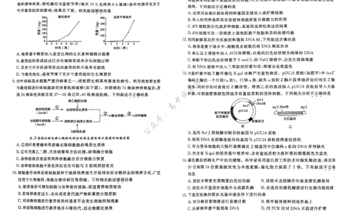 北京市东城区2024-2025学年度高二第二学期期末统一检测生物学试卷（含答案）_2025年7月_250728北京市东城区2024-2025学年高二下学期期末考试（全科）
