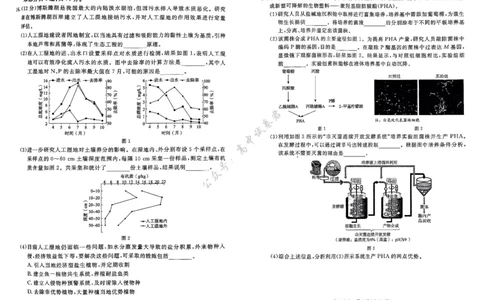北京市东城区2024-2025学年度高二第二学期期末统一检测生物学试卷（含答案）_2025年7月_250728北京市东城区2024-2025学年高二下学期期末考试（全科）