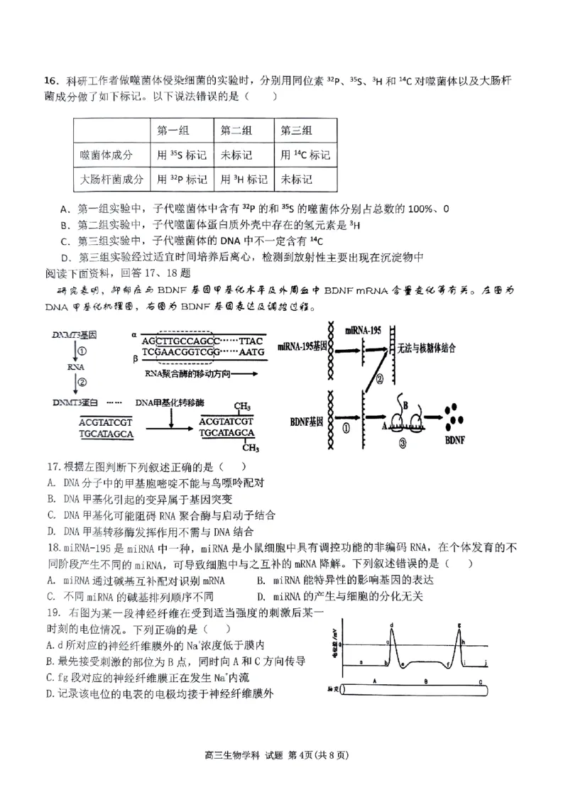 试卷_2024届浙江省北斗星高三上学期12月适应性考试_浙江省北斗星2024届高三上学期12月适应性考试生物