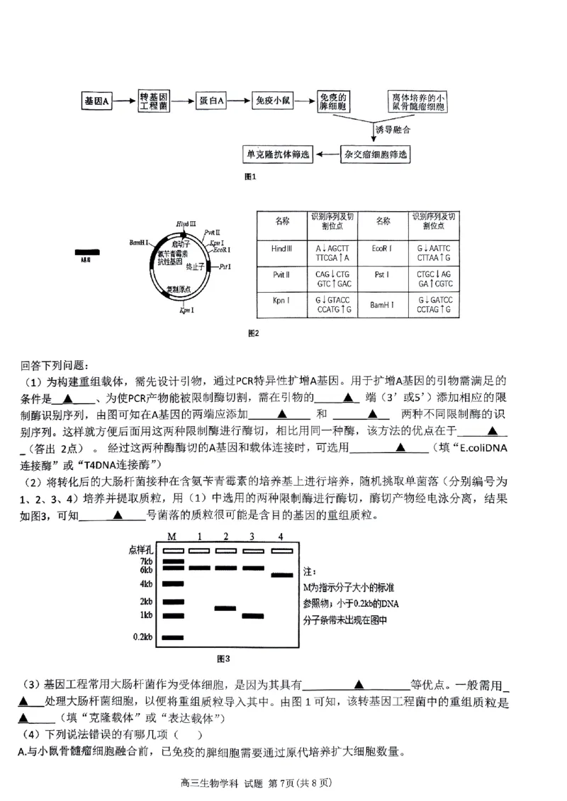 试卷_2024届浙江省北斗星高三上学期12月适应性考试_浙江省北斗星2024届高三上学期12月适应性考试生物