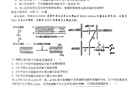 试卷_2024届浙江省北斗星高三上学期12月适应性考试_浙江省北斗星2024届高三上学期12月适应性考试生物