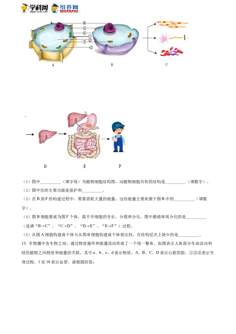 精品解析：2022年四川省南充市中考生物真题（原卷版）_中考真题_8.生物中考真题2015-2024年_2022年全国中考生物114份14