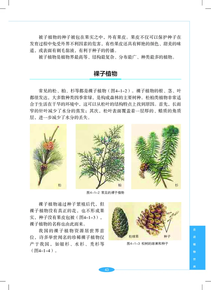 沪教版7年级科学上册高清教材_4-教培资料-26年最新资料-同步更新_初中高中教资_03科三专项（进去保存报考的学科即可）_02科三专项（笔记真题思维导图教学设计版本二）