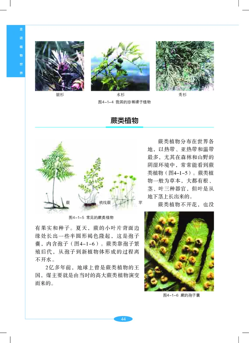 沪教版7年级科学上册高清教材_4-教培资料-26年最新资料-同步更新_初中高中教资_03科三专项（进去保存报考的学科即可）_02科三专项（笔记真题思维导图教学设计版本二）