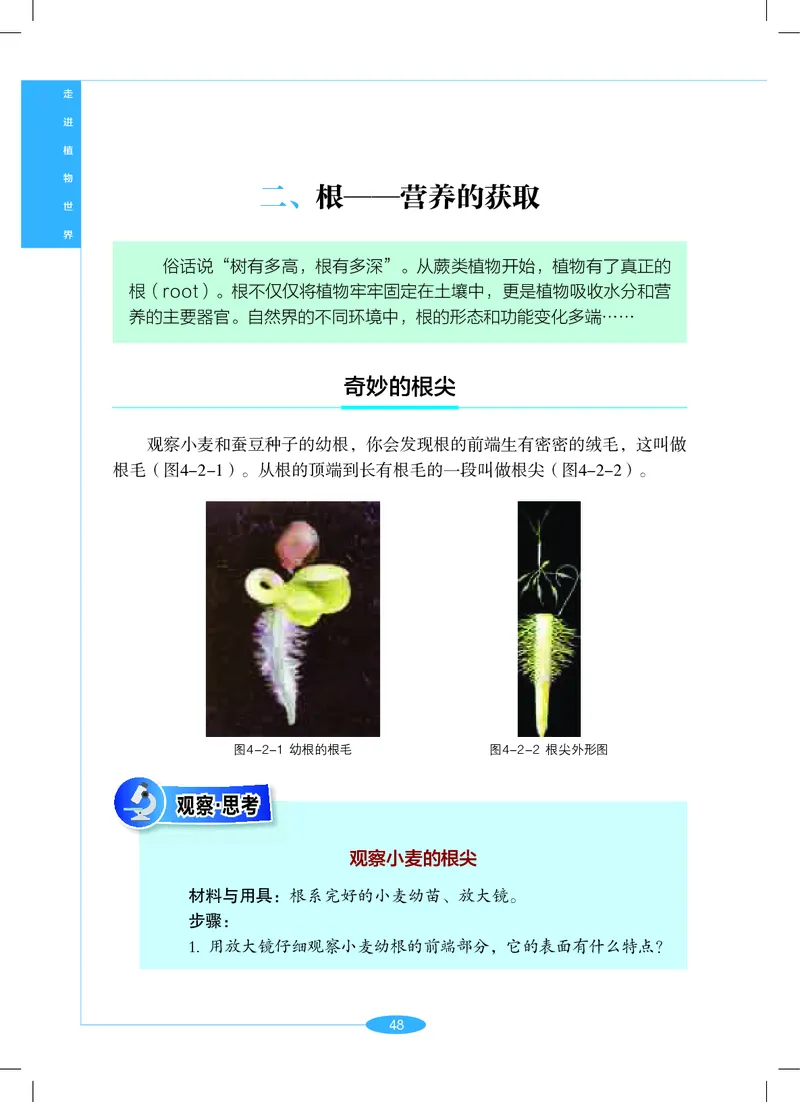 沪教版7年级科学上册高清教材_4-教培资料-26年最新资料-同步更新_初中高中教资_03科三专项（进去保存报考的学科即可）_02科三专项（笔记真题思维导图教学设计版本二）