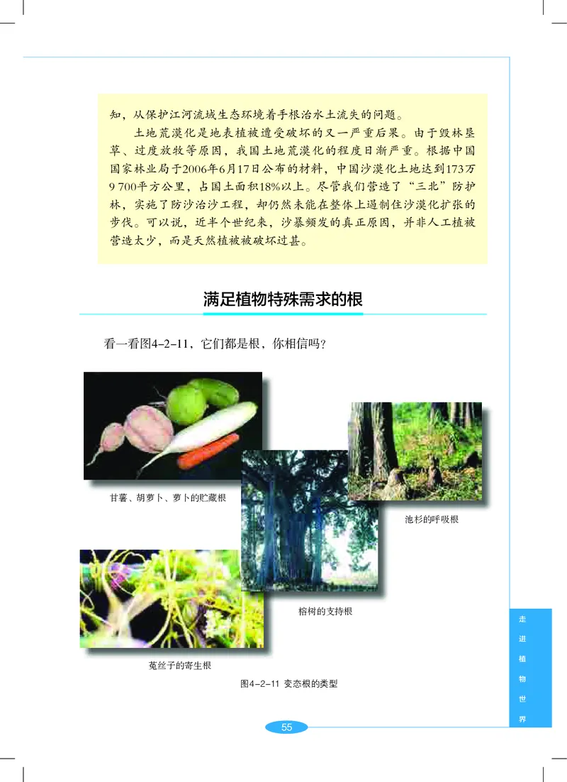 沪教版7年级科学上册高清教材_4-教培资料-26年最新资料-同步更新_初中高中教资_03科三专项（进去保存报考的学科即可）_02科三专项（笔记真题思维导图教学设计版本二）