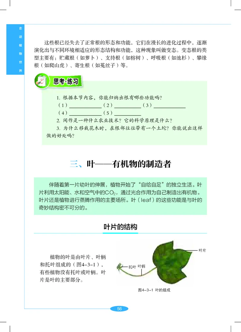 沪教版7年级科学上册高清教材_4-教培资料-26年最新资料-同步更新_初中高中教资_03科三专项（进去保存报考的学科即可）_02科三专项（笔记真题思维导图教学设计版本二）