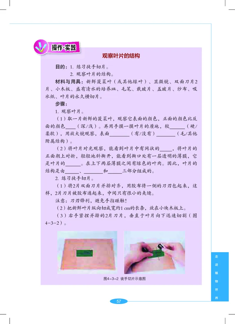 沪教版7年级科学上册高清教材_4-教培资料-26年最新资料-同步更新_初中高中教资_03科三专项（进去保存报考的学科即可）_02科三专项（笔记真题思维导图教学设计版本二）