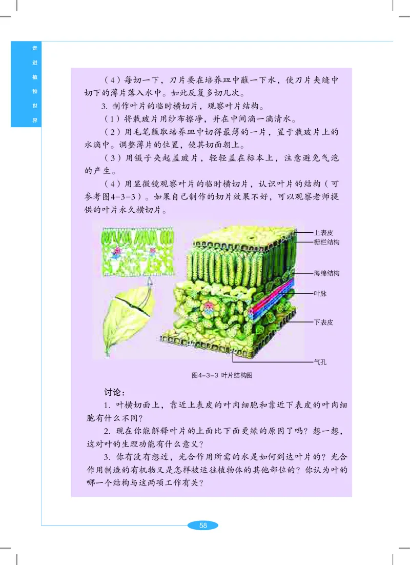 沪教版7年级科学上册高清教材_4-教培资料-26年最新资料-同步更新_初中高中教资_03科三专项（进去保存报考的学科即可）_02科三专项（笔记真题思维导图教学设计版本二）