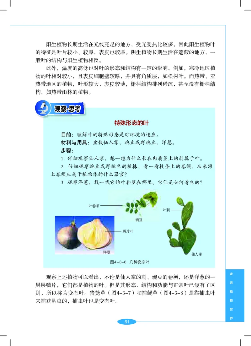 沪教版7年级科学上册高清教材_4-教培资料-26年最新资料-同步更新_初中高中教资_03科三专项（进去保存报考的学科即可）_02科三专项（笔记真题思维导图教学设计版本二）