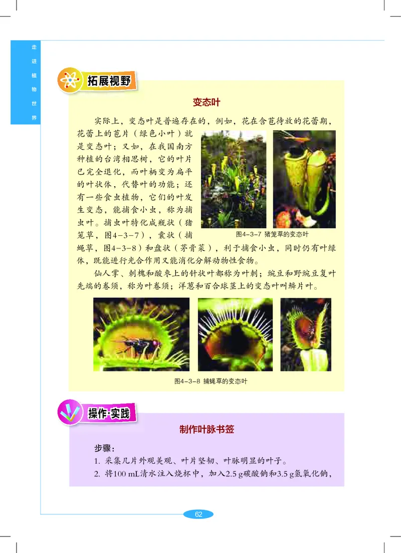 沪教版7年级科学上册高清教材_4-教培资料-26年最新资料-同步更新_初中高中教资_03科三专项（进去保存报考的学科即可）_02科三专项（笔记真题思维导图教学设计版本二）