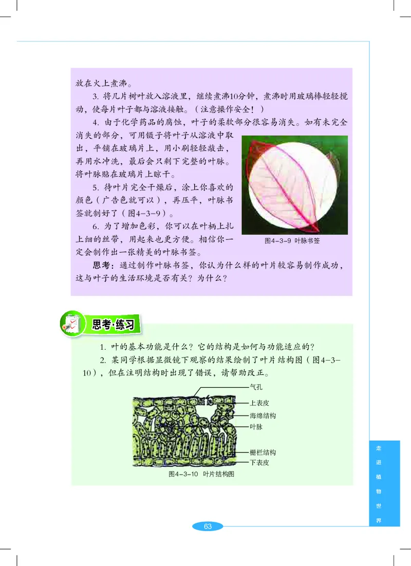 沪教版7年级科学上册高清教材_4-教培资料-26年最新资料-同步更新_初中高中教资_03科三专项（进去保存报考的学科即可）_02科三专项（笔记真题思维导图教学设计版本二）