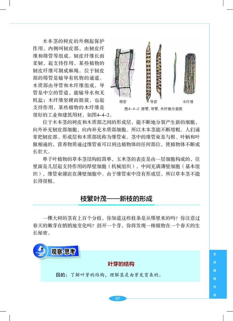 沪教版7年级科学上册高清教材_4-教培资料-26年最新资料-同步更新_初中高中教资_03科三专项（进去保存报考的学科即可）_02科三专项（笔记真题思维导图教学设计版本二）