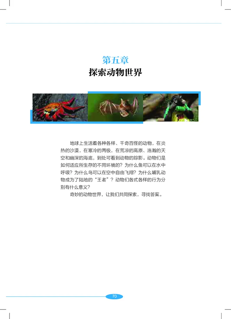 沪教版7年级科学上册高清教材_4-教培资料-26年最新资料-同步更新_初中高中教资_03科三专项（进去保存报考的学科即可）_02科三专项（笔记真题思维导图教学设计版本二）