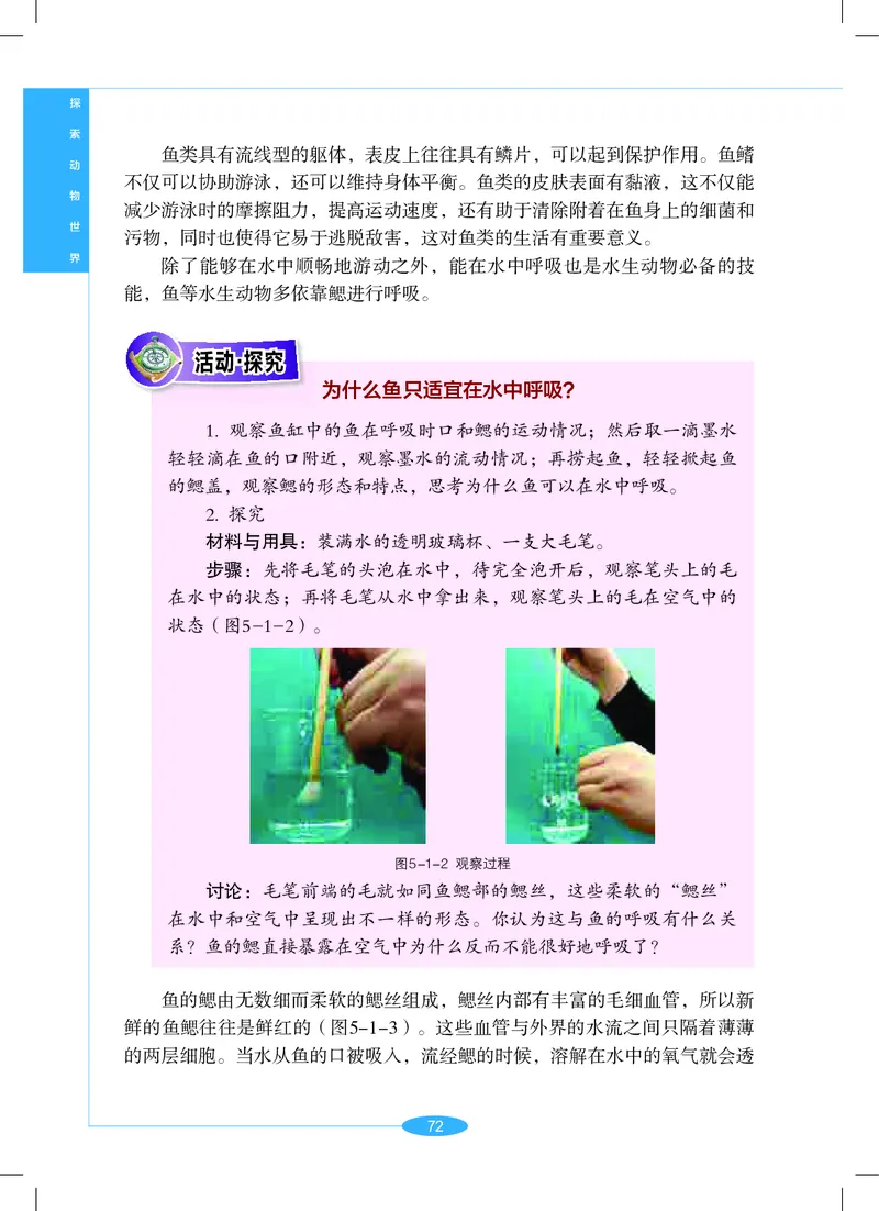 沪教版7年级科学上册高清教材_4-教培资料-26年最新资料-同步更新_初中高中教资_03科三专项（进去保存报考的学科即可）_02科三专项（笔记真题思维导图教学设计版本二）