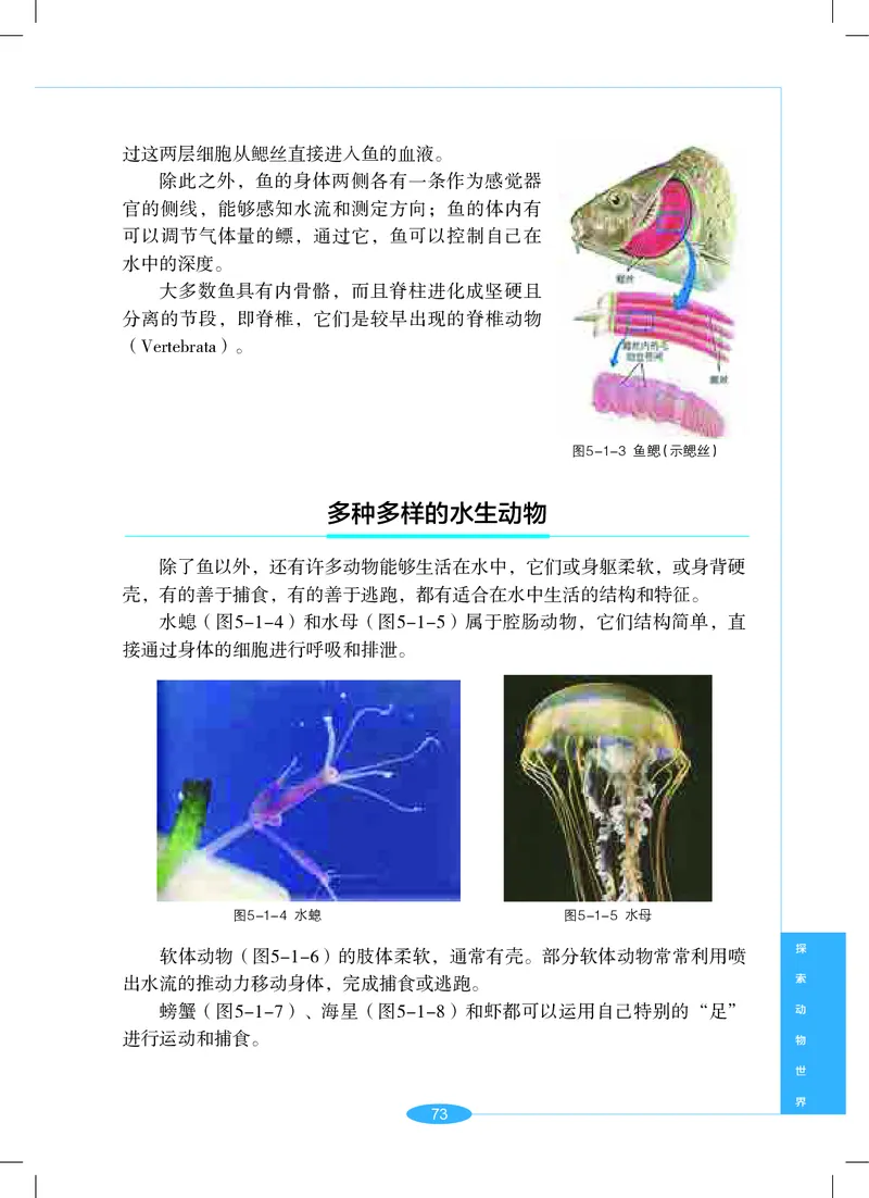 沪教版7年级科学上册高清教材_4-教培资料-26年最新资料-同步更新_初中高中教资_03科三专项（进去保存报考的学科即可）_02科三专项（笔记真题思维导图教学设计版本二）