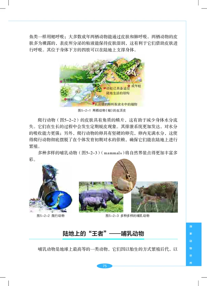 沪教版7年级科学上册高清教材_4-教培资料-26年最新资料-同步更新_初中高中教资_03科三专项（进去保存报考的学科即可）_02科三专项（笔记真题思维导图教学设计版本二）