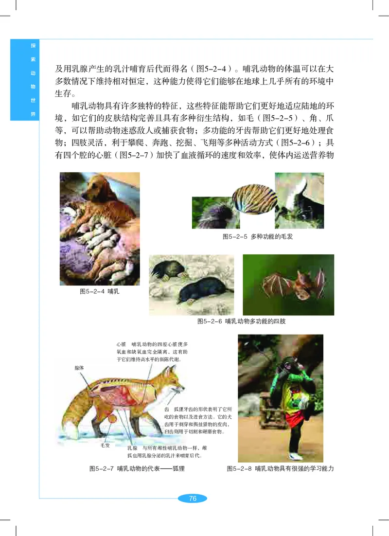 沪教版7年级科学上册高清教材_4-教培资料-26年最新资料-同步更新_初中高中教资_03科三专项（进去保存报考的学科即可）_02科三专项（笔记真题思维导图教学设计版本二）