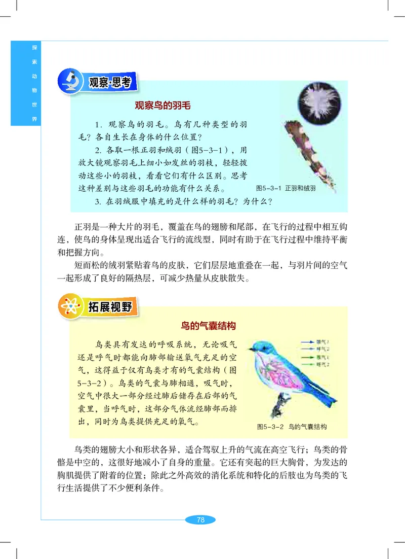 沪教版7年级科学上册高清教材_4-教培资料-26年最新资料-同步更新_初中高中教资_03科三专项（进去保存报考的学科即可）_02科三专项（笔记真题思维导图教学设计版本二）