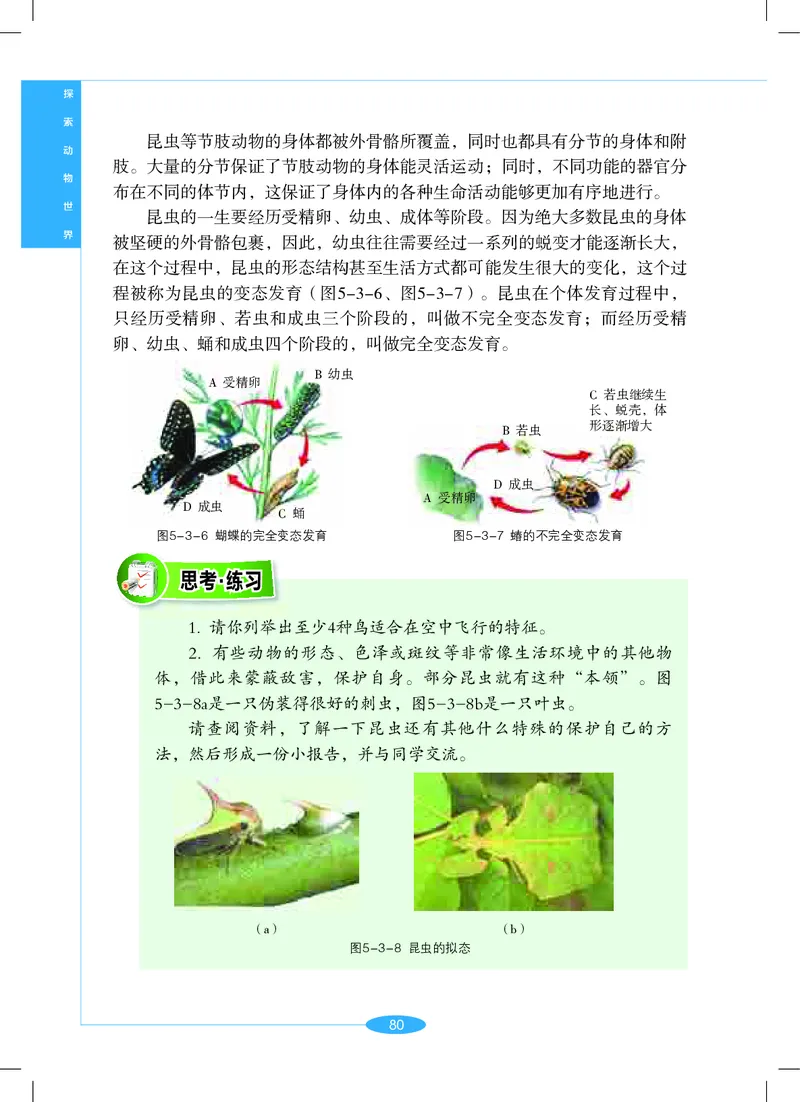 沪教版7年级科学上册高清教材_4-教培资料-26年最新资料-同步更新_初中高中教资_03科三专项（进去保存报考的学科即可）_02科三专项（笔记真题思维导图教学设计版本二）