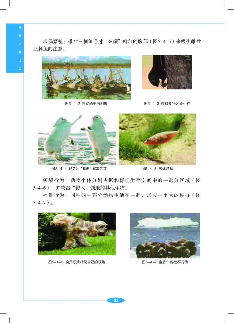 沪教版7年级科学上册高清教材_4-教培资料-26年最新资料-同步更新_初中高中教资_03科三专项（进去保存报考的学科即可）_02科三专项（笔记真题思维导图教学设计版本二）