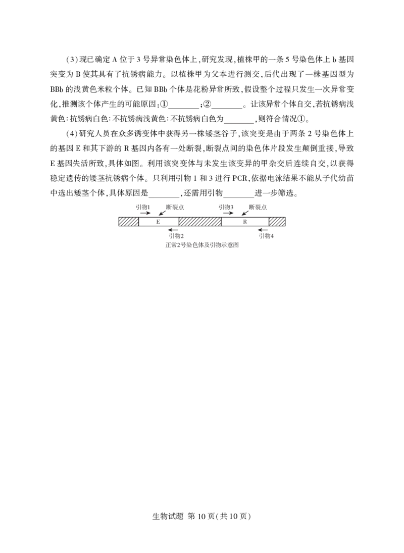 生物试卷(清晰版)-山东省临沂市（北京时代凤凰研究院）2026届高三年级教学质量检测考试（上学期期中）_251116山东省临沂市2026届高三11月教学质量检测（全科）