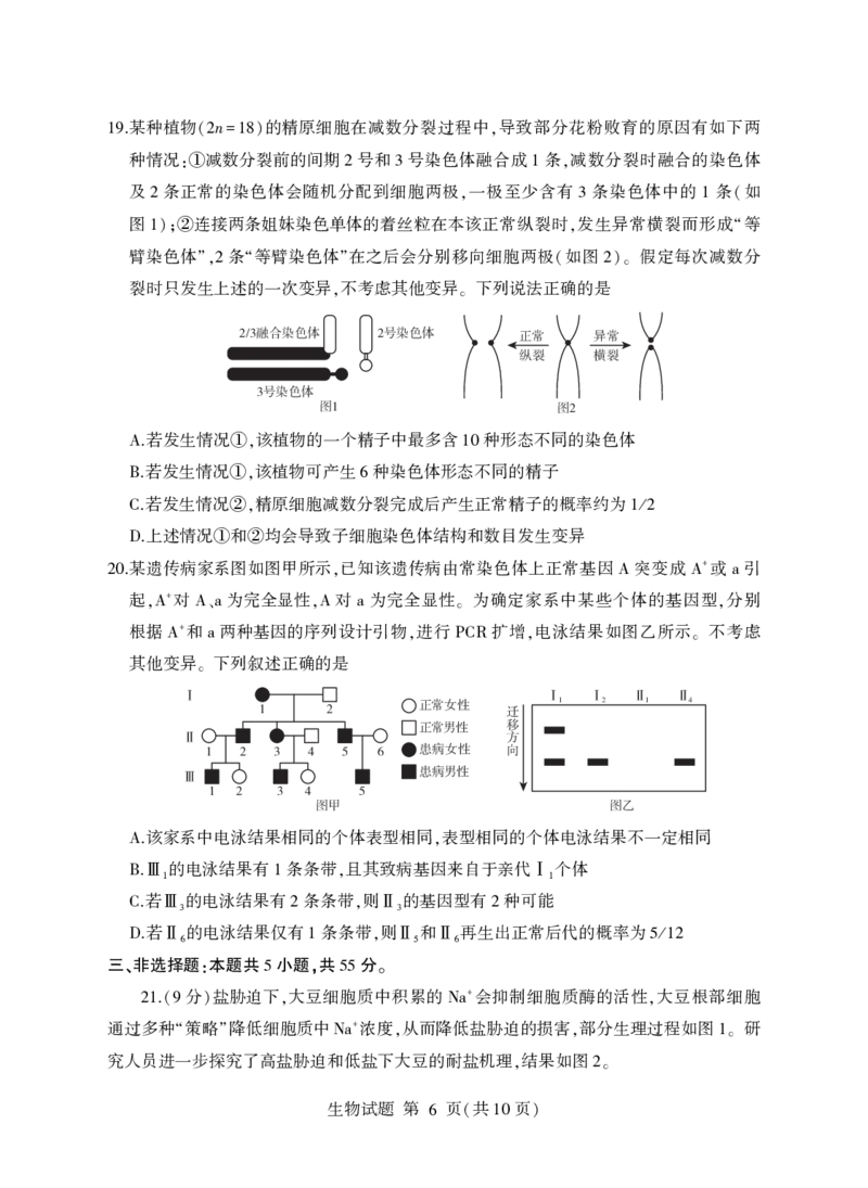生物试卷(清晰版)-山东省临沂市（北京时代凤凰研究院）2026届高三年级教学质量检测考试（上学期期中）_251116山东省临沂市2026届高三11月教学质量检测（全科）