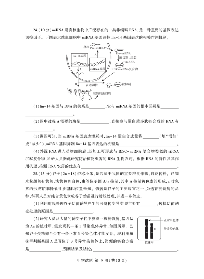 生物试卷(清晰版)-山东省临沂市（北京时代凤凰研究院）2026届高三年级教学质量检测考试（上学期期中）_251116山东省临沂市2026届高三11月教学质量检测（全科）