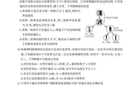 生物试卷(清晰版)-山东省临沂市（北京时代凤凰研究院）2026届高三年级教学质量检测考试（上学期期中）_251116山东省临沂市2026届高三11月教学质量检测（全科）