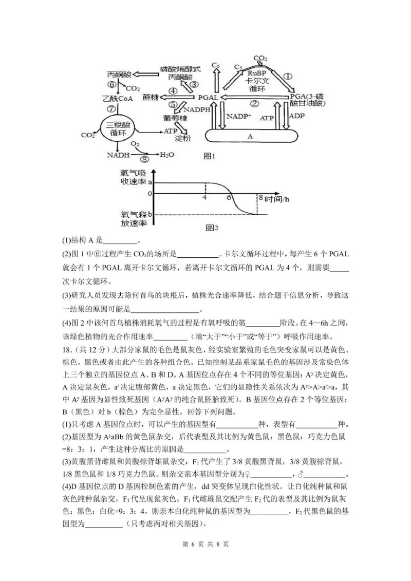 泸州市三校联盟2025年高三上期第一次联合考试生物_251115四川省泸州市三校联盟2025年高三上期第一次联合考试（全科）