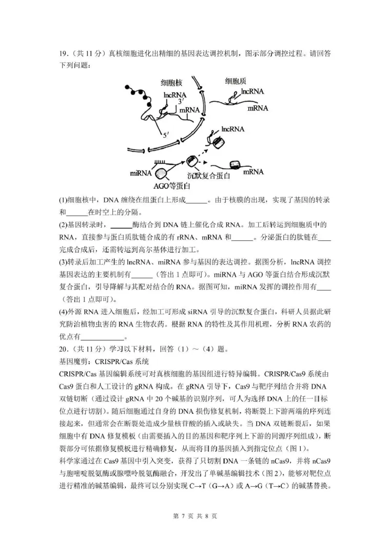 泸州市三校联盟2025年高三上期第一次联合考试生物_251115四川省泸州市三校联盟2025年高三上期第一次联合考试（全科）