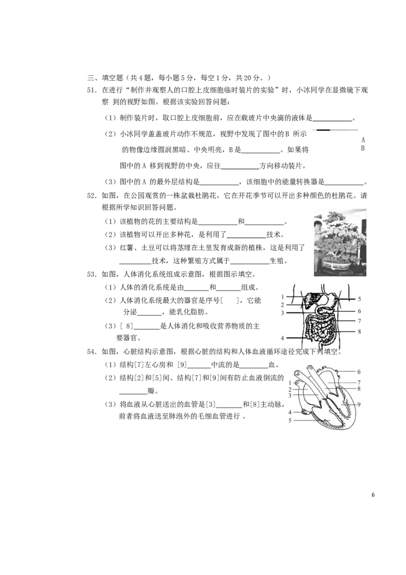 湖南省郴州市2019年中考生物真题试题_中考真题_8.生物中考真题2015-2024年_2019年全国中考生物92份
