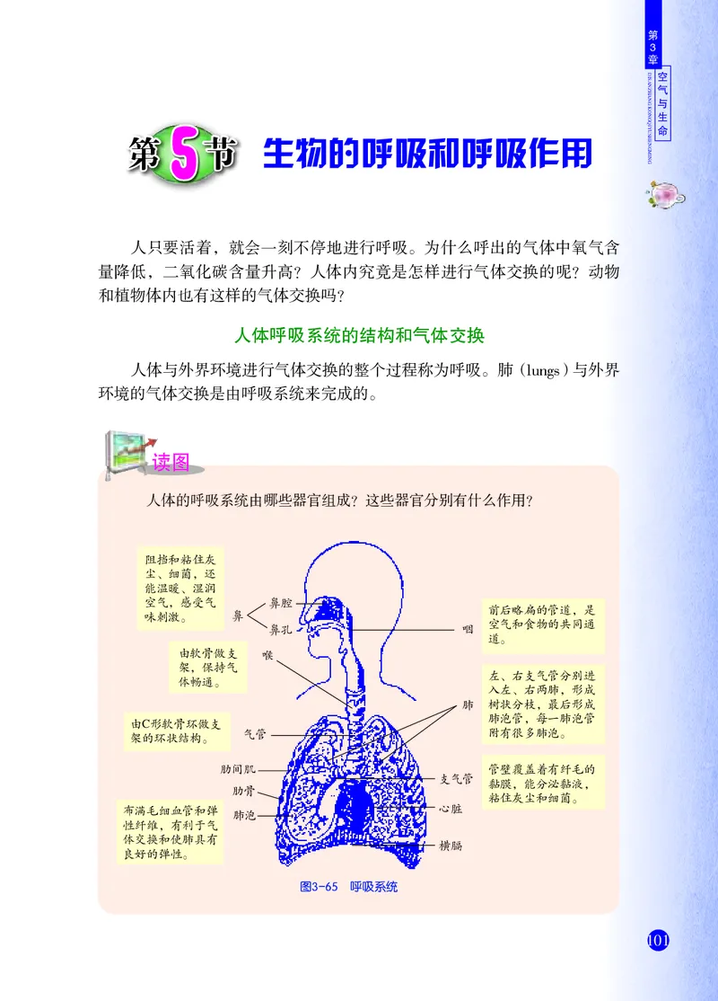 浙教版8年级科学下册高清教材_4-教培资料-26年最新资料-同步更新_初中高中教资_03科三专项（进去保存报考的学科即可）_02科三专项（笔记真题思维导图教学设计版本二）