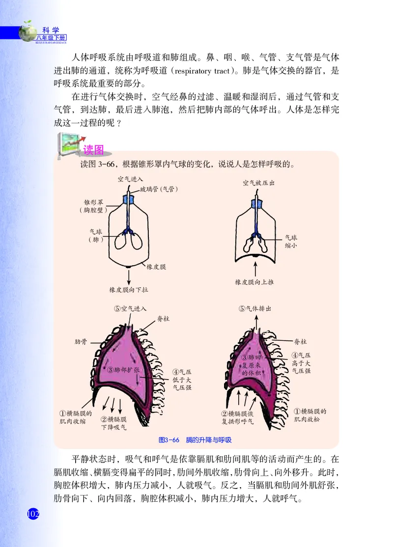 浙教版8年级科学下册高清教材_4-教培资料-26年最新资料-同步更新_初中高中教资_03科三专项（进去保存报考的学科即可）_02科三专项（笔记真题思维导图教学设计版本二）