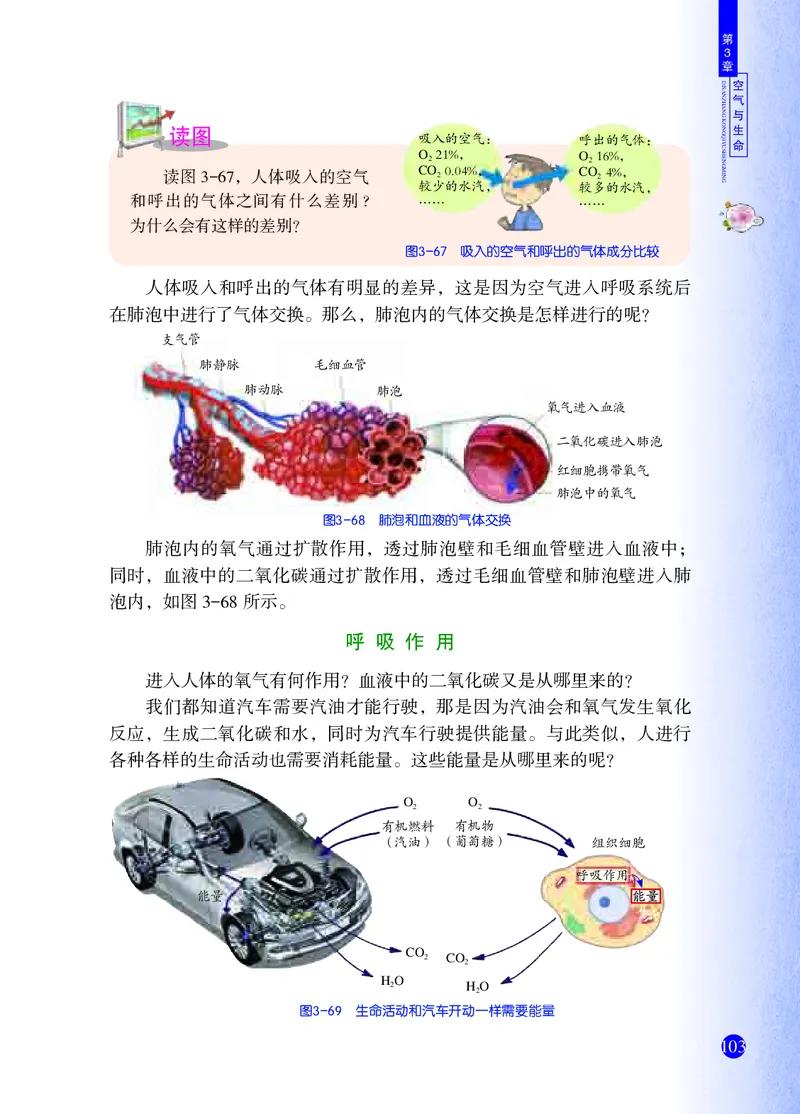 浙教版8年级科学下册高清教材_4-教培资料-26年最新资料-同步更新_初中高中教资_03科三专项（进去保存报考的学科即可）_02科三专项（笔记真题思维导图教学设计版本二）