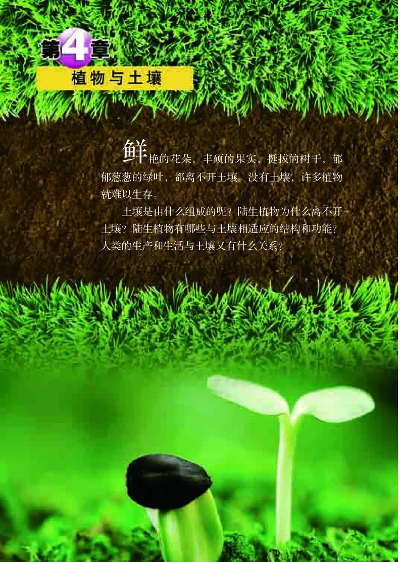 浙教版8年级科学下册高清教材_4-教培资料-26年最新资料-同步更新_初中高中教资_03科三专项（进去保存报考的学科即可）_02科三专项（笔记真题思维导图教学设计版本二）