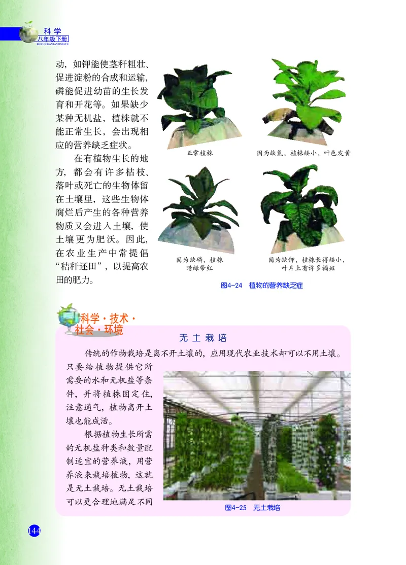 浙教版8年级科学下册高清教材_4-教培资料-26年最新资料-同步更新_初中高中教资_03科三专项（进去保存报考的学科即可）_02科三专项（笔记真题思维导图教学设计版本二）