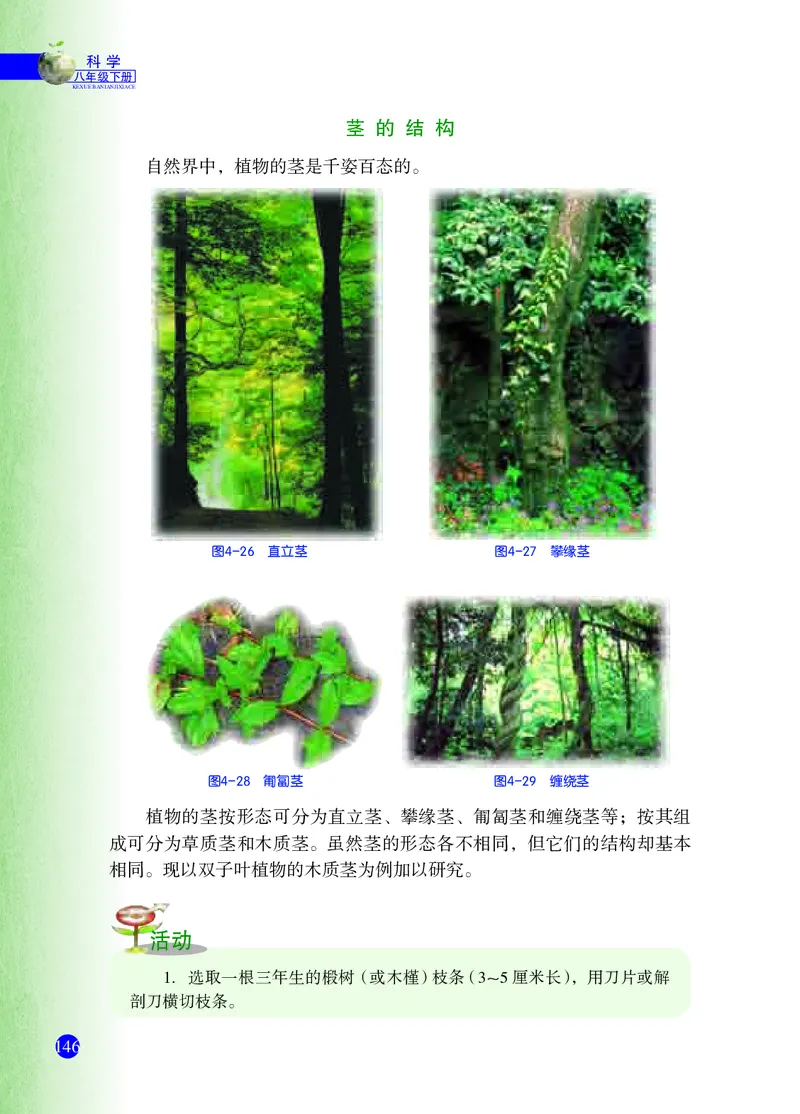 浙教版8年级科学下册高清教材_4-教培资料-26年最新资料-同步更新_初中高中教资_03科三专项（进去保存报考的学科即可）_02科三专项（笔记真题思维导图教学设计版本二）